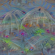 n03457902 greenhouse, nursery, glasshouse